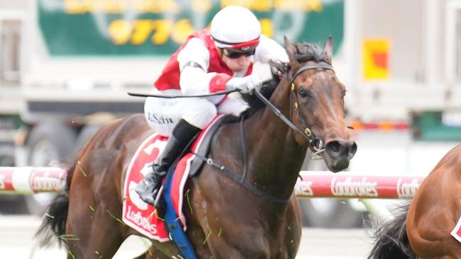 Gilbert Gardiner is keen to back Romani Ite Domum at Pakenham on Saturday. Picture: cost Barbour / Racing Photos