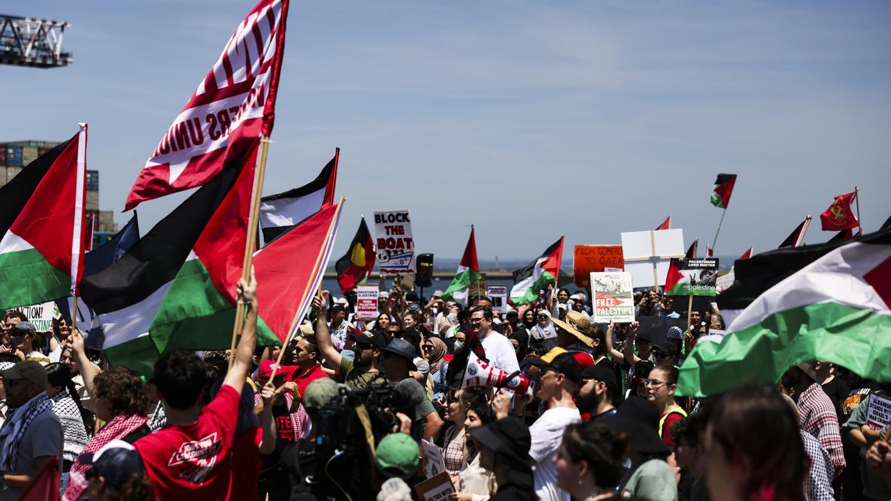 The protest was organised by Palestine Justice Movement Sydney. Picture: NCA NewsWire/ Dylan Robinson