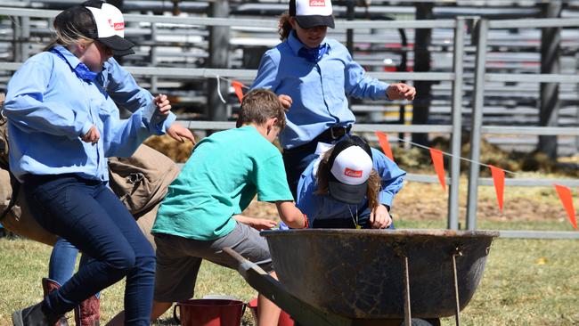 Swift action: The Young Farmers Challenge, run by Ag Skills Victoria and sponsored by <i>The Weekly Times, </i>starts at 1pm daily at Seymour.