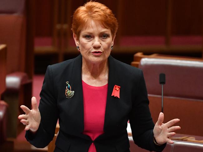 One Nation leader Senator Pauline Hanson called for an Australian identity card to stop welfare fraud. Picture: AAP Image/Mick Tsikas