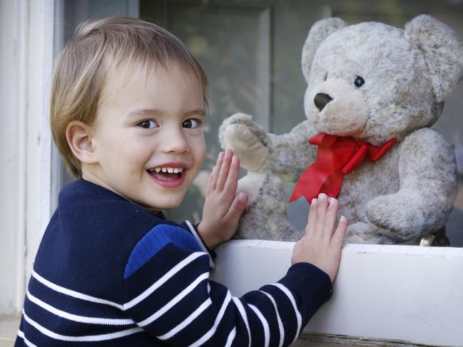 Teddy Bear hunt. People are putting bears in windows and creating teddy bear hunts to entertain kids. Teddy meet Teddy! Three year old Teddy looks into a house window at the Teddy sitting inside.      Picture: David Caird