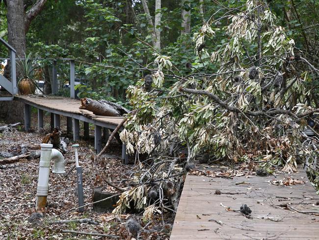 Couran Cove residents have been without water, electricity, and other services for several days due to legal and body corporate disputes. A broken tree blocks a walkway. Picture: Tertius Pickard