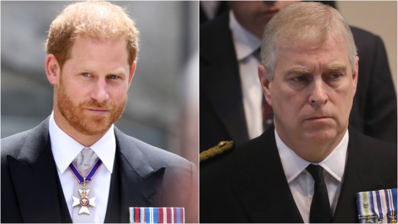 Prince Harry and Andrew's royal futures challenged in UK parliament