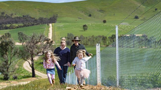 The McErvales inspect new fencing, replaced after bushfire ripped through last December. Picture: Zoe Phillips