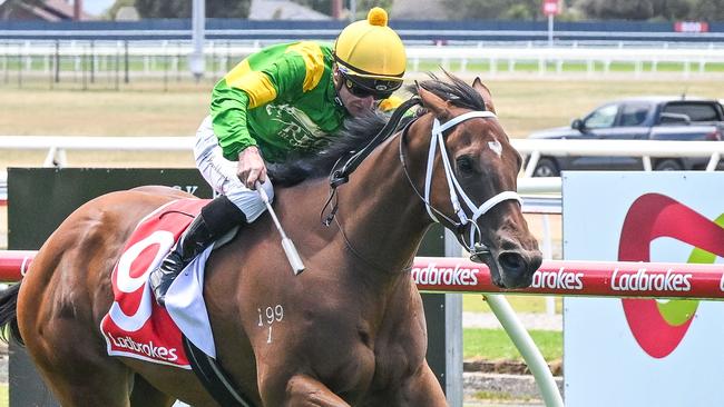 Regal Secret has a great chance to break through for another win when she heads to Mornington on Wednesday. Picture: Racing Photos via Getty Images