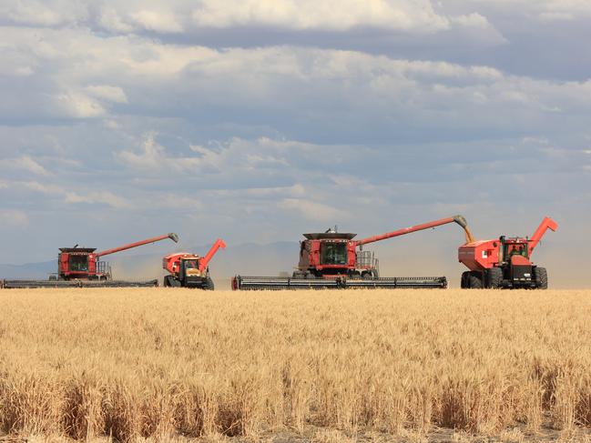 Boolcarrol and Milton Downs properties outside Moree, northern NSW