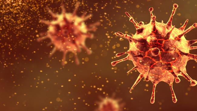 Blacktown City remains a COVID-19 hotspot, with 106 confirmed cases locally. Picture: Supplied