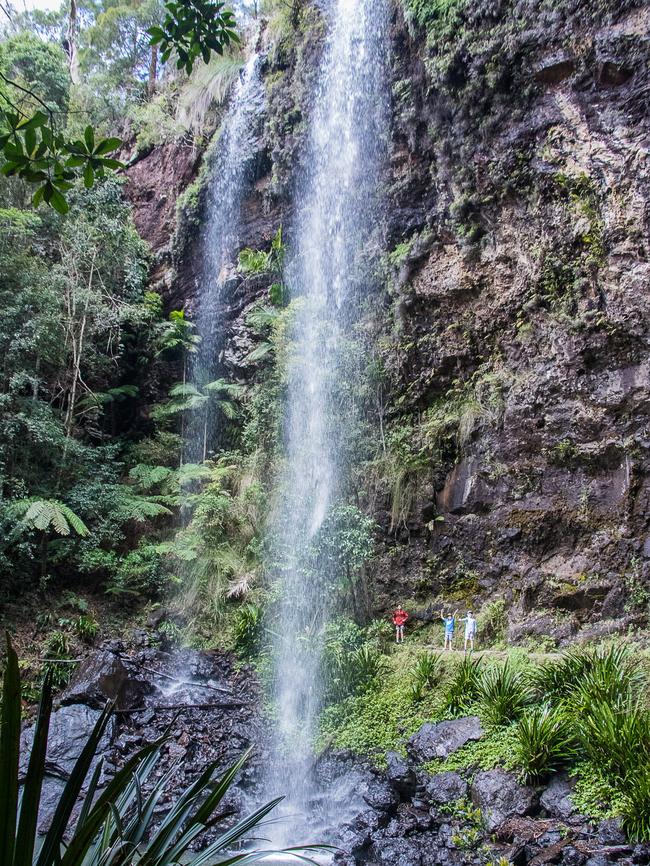 Springbrook Twin Falls. PHOTO: @alan_alan_alan_steve