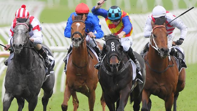 Pierata is among the favourites for The Everest. Picture: AAP