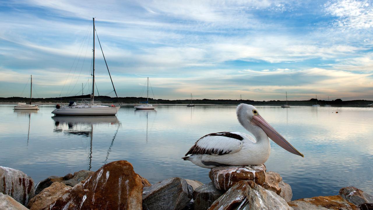 American River on Kangaroo Island. Picture: Julie Fletcher