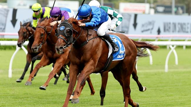 SYDNEY, AUSTRALIA - MARCH 08: Nash Rawiller riding Tentyris win Race 4 Darley Todman Stakes during Sydney Racing at Royal Randwick Racecourse on March 08, 2025 in Sydney, Australia. (Photo by Jeremy Ng/Getty Images)