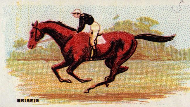 1876 Melbourne Cup winner Briseis in an undated painting.