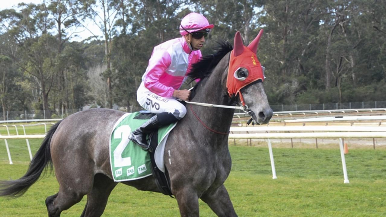 Sapphire Coast tips, preview: Filly can unwrap another win