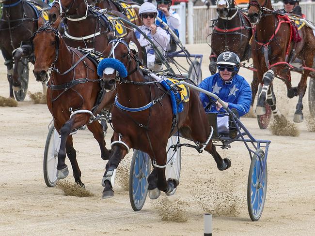 Mark Purdon's Dont Stop Dreaming is being aimed at the Hunter Cup. Picture: HRNZ