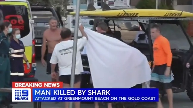 Shark attack: Surfer dies after desperate attempts to save him (9 News)