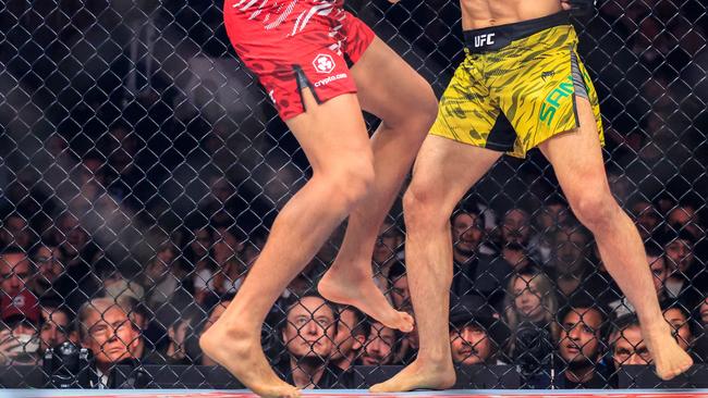 US President-elect Donald Trump, left, and Tesla and SpaceX CEO Elon Musk watch a fight during UFC 309 at Madison Square Garden in New York last month. Picture: AFP