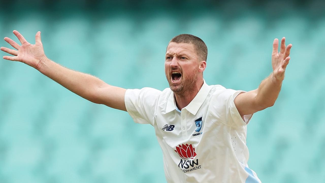 Bird flies home as Tigers lock in 2025-26 squad