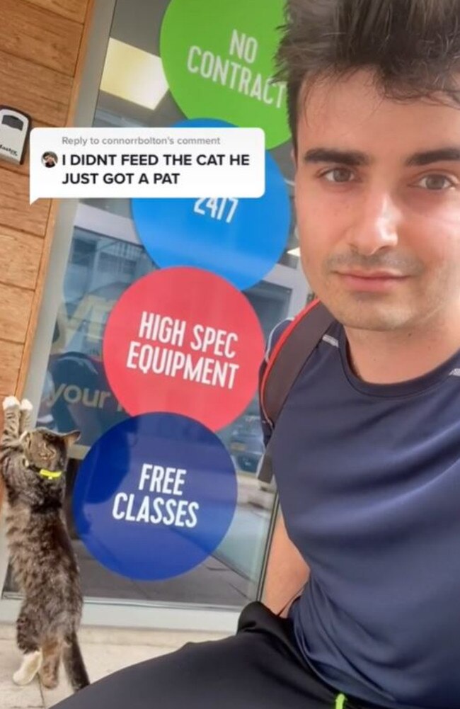 Connor said the kitty was a regular visitor to his UK gym. Picture: TikTok/connorrbolton