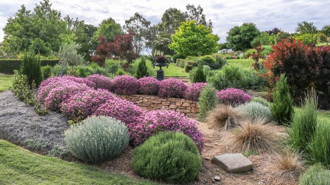 Full of interest: the garden at Eagles Bluff. Pictures: Kim Woods Rabbidge