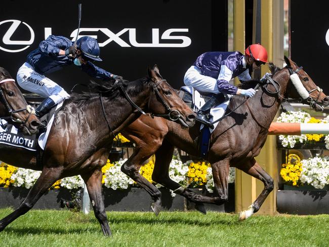 Victoria could be out by Melbourne Cup day. Picture: Brett Holburt / Racing Photos/ AFP