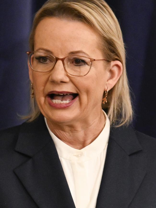 Opposition Leader Sussan Ley. Picture: Martin Ollman/NewsWire