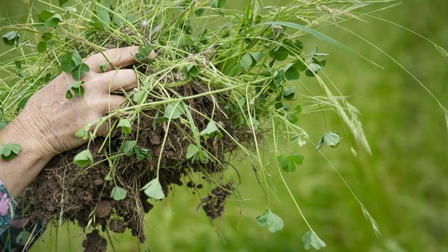 Farmers will now be able to use this increased revenue to fund more activities, which will ultimately increase farm productivity and the supply of credits in the longer term – while delivering greater environmental outcomes in the process. Picture: Zoe Phillips