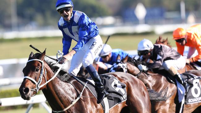 Winx will have her final race in the Queen Elizabeth Stakes on Saturday. Picture: AAP 