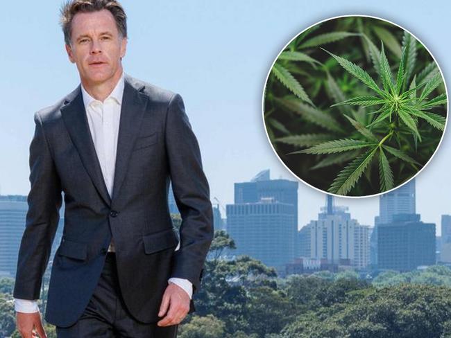 Chris Minns won't decriminalise weed