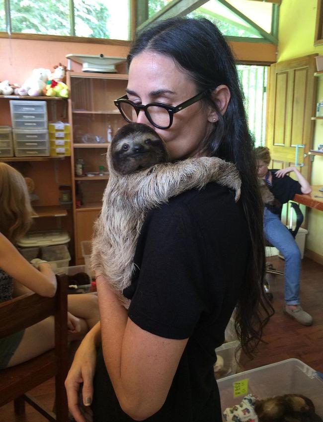 Who doesn’t want a cuddle with a sloth? Picture: demimoore/Instagram