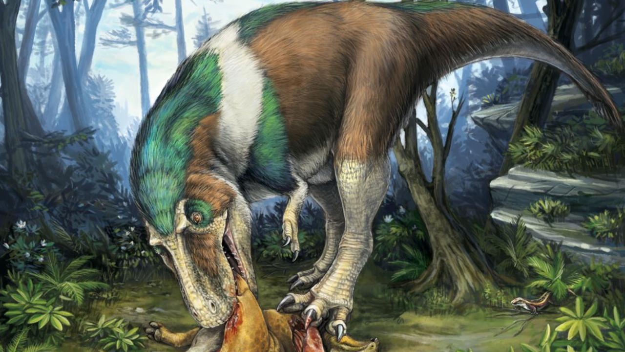 Cancer tumour found on centrosaurus leg bone from Dinosaur Provincial ...