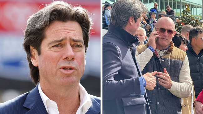 Former AFL boss and Racing Victoria board member in waiting Gillon McLachlan caught up with Anthony Mithen (right) at Warrnambool on Wednesday. Pictures: File, Brad Waters