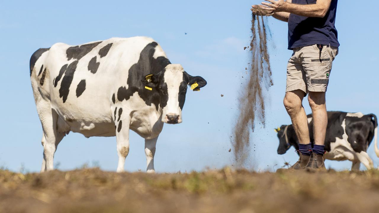 $15.9m in drought support for Victorian farmers
