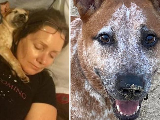 Nicole Freeman shares story of red cattle dog Whitnail to save Stumers Creek off leash dog beach from Sunshine Coast Council. Picture: Facebook/Nicole Freeman.