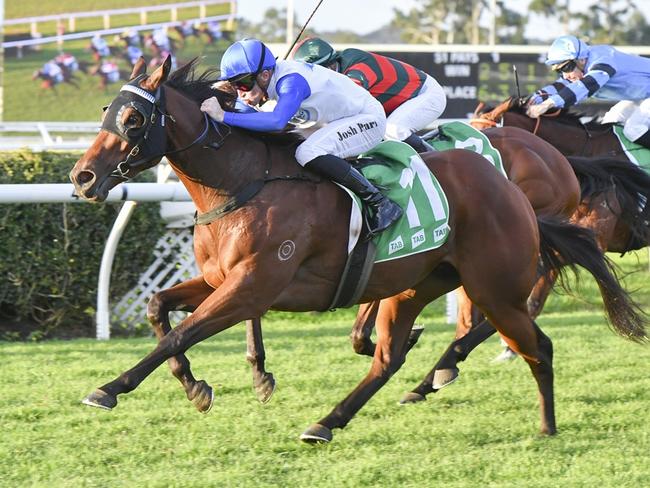 Lavish Empire can earn himself a Scone Cup start with a win at Randwick on Saturday. Picture: Bradley Photos