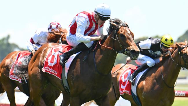 Snapped heads to Sydney off a dominant win at Sandown. Picture: Getty Images