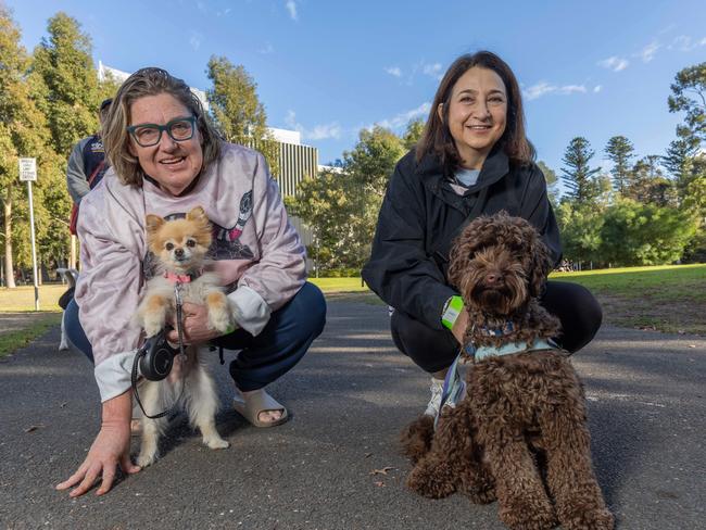 RSPCA SA's Million Paws Walk in Adelaide on May 25, 2025. Picture: Ben Clark