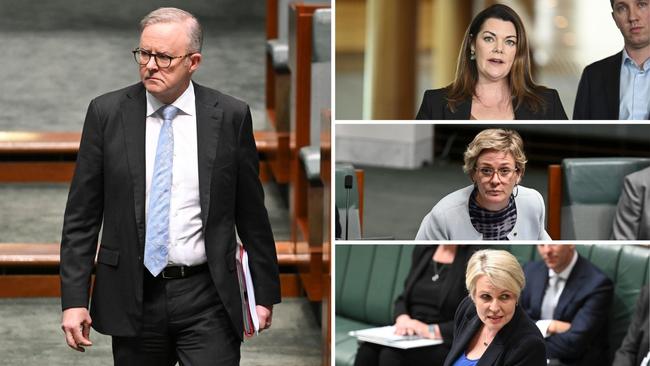 Clockwise from left: Prime Minister Anthony Albanese, Greens leader Sarah Hanson-Young, Teal MP Zali Steggall and Labor Environment Minister Tanya Plibersek.