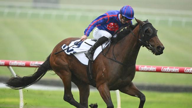 Anahita winning at Sandown on June 28 last year.