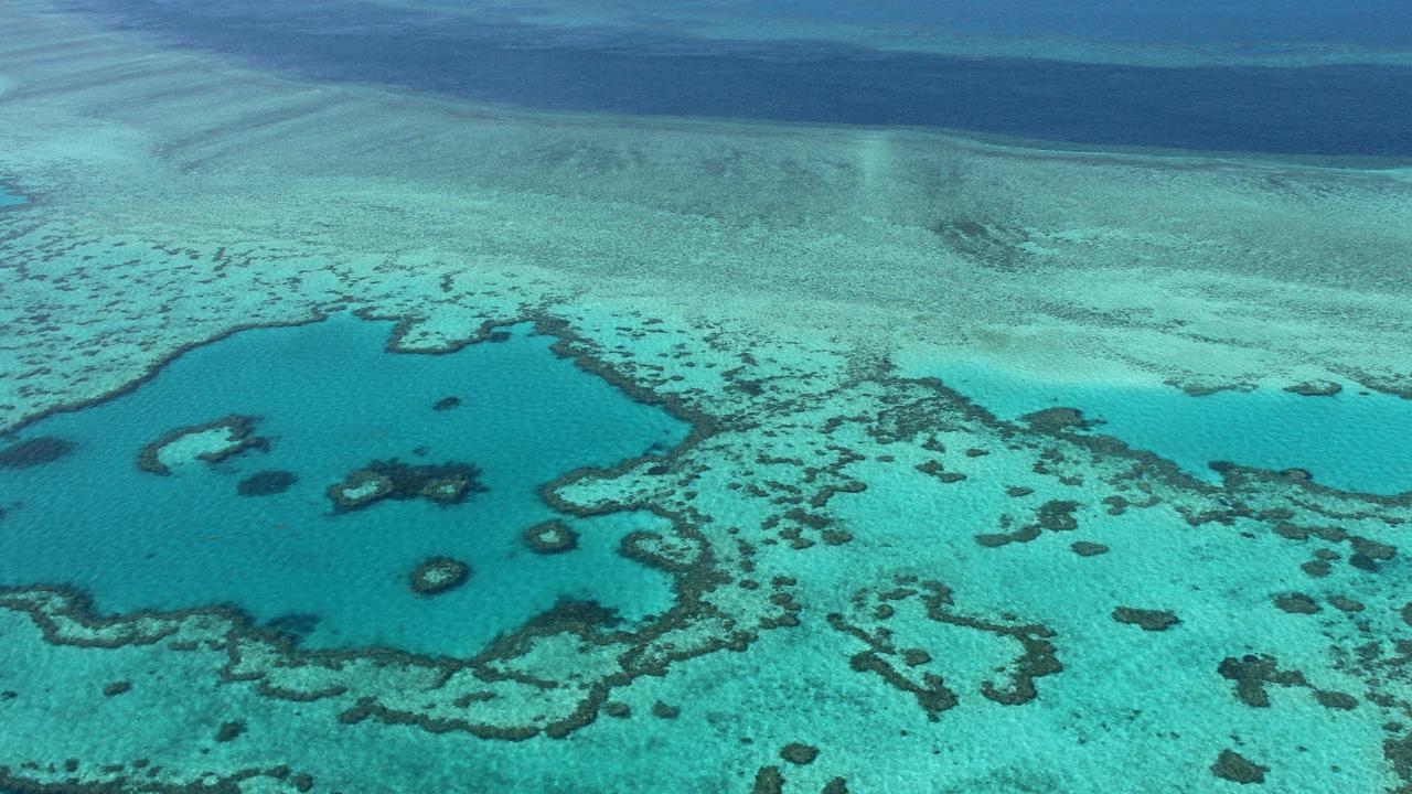 The Great Barrier Reef, pictured here off the coast of the Whitsunday Islands, is under threat from warming temperatures. Picture: Sarah Lai