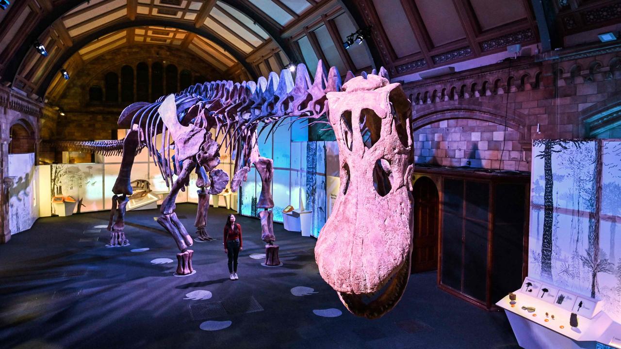 Massive dinosaur replica takes over from beloved ‘Dippy’ | The Australian