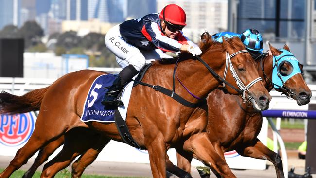 Dalasan will be hard to beat in the Caulfield Guineas Prelude. Picture: AAP