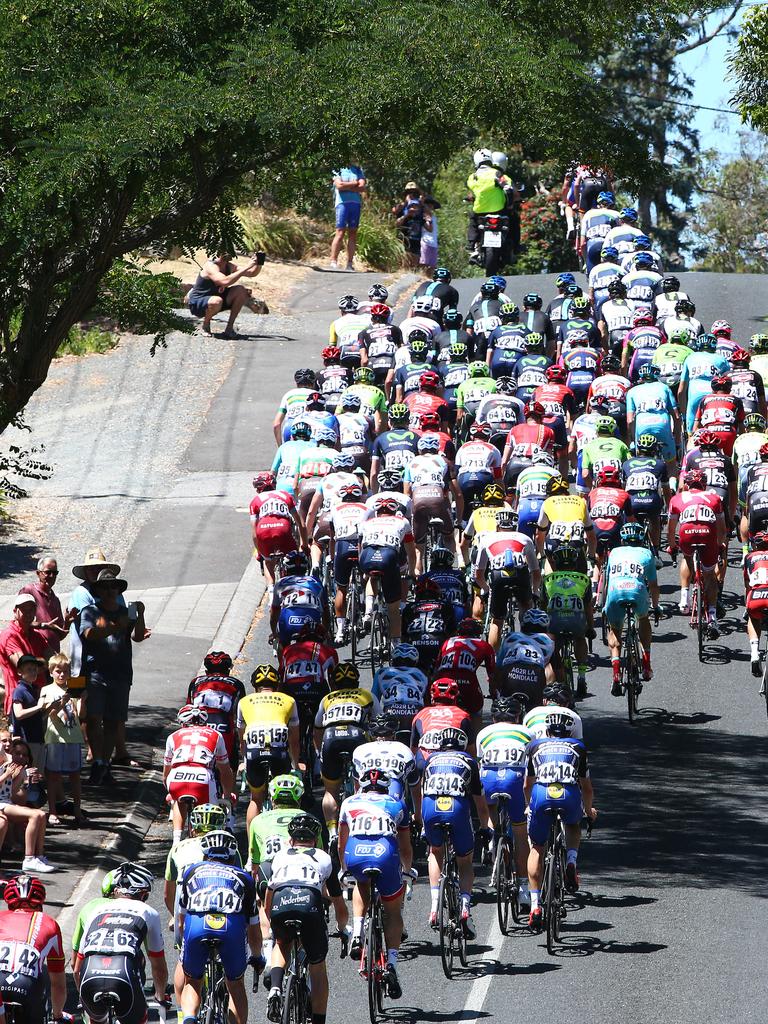 The peloton make their way around the Stirling course. Photo: Sarah Reed.