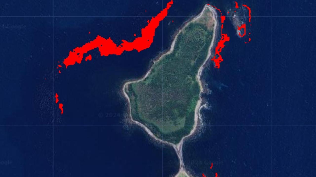 Earth Engine image showing the range of giant kelp forests (in red) around Tasmania's Actaeon Island in 2017.