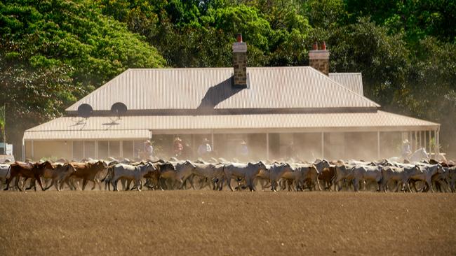 A scene from Netflix original Australian production Desert King in the Northern Territory. Picture: Netflix