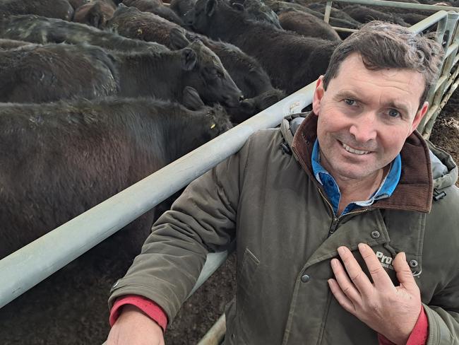 Bryan Leahy of Glenlyon Pastoral, sold a feature line of yearling Angus steers at $1250 and $1090, at up to 335c/kg liveweight, as heavier cattle with frame benefited from South Gippsland buyers wanting suitable bullock replacements at Yea on Friday.