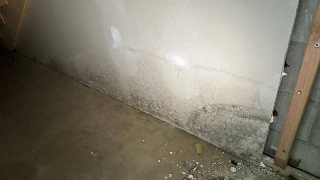 Huge parts of the basement walls have since had to be removed due to mould.