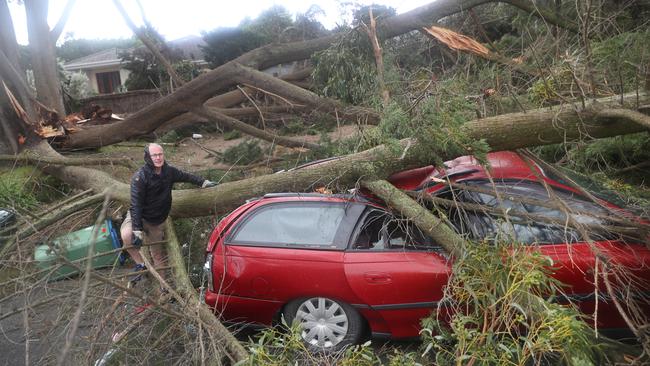 Wild winds can cause immediate havoc to suburbs, with authorities warning residents to take precautions. Picture: NewsWire / David Crosling