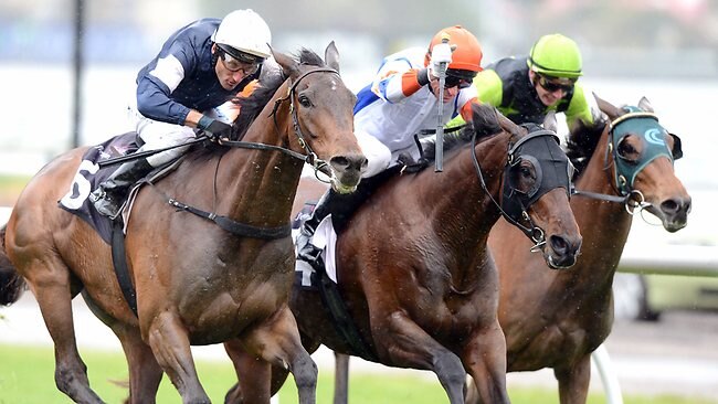 Lloyd Williams Pair Put Case Forward For Shot At Caulfield And ...