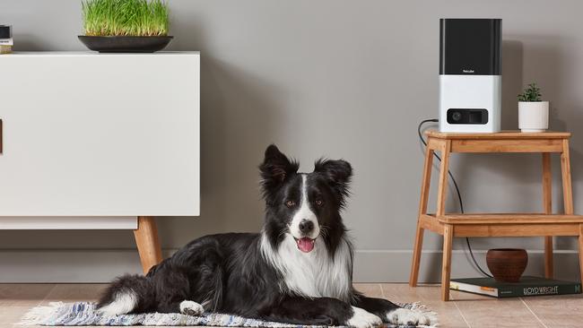 The Petcube Bites smart home gadget lets pet owners monitor their furry friends from afar and even throw them treats remotely.