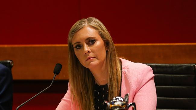 Animal Justice NSW MP Emma Hurst said her party is looking to debate a new law which would outlaw puppy farming. Photo: NCA NewsWire/Gaye Gerard